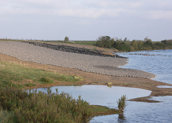Snettisham waders